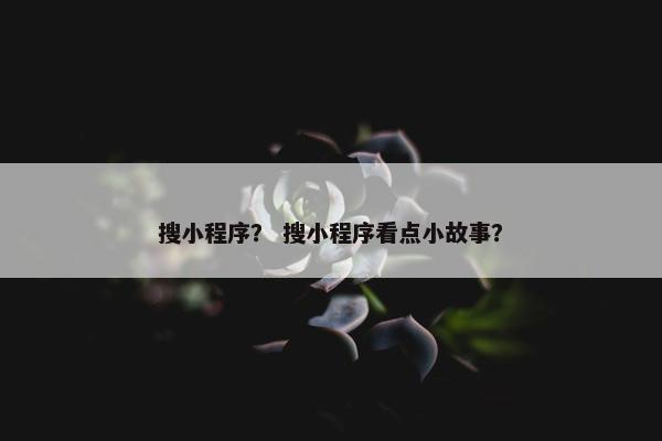 搜小程序？ 搜小程序看点小故事？