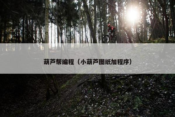 葫芦帮编程（小葫芦图纸加程序）