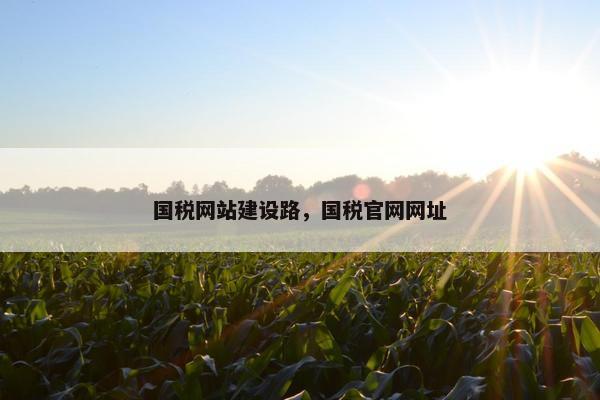 国税网站建设路，国税官网网址