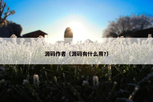 源码作者（源码有什么用?）