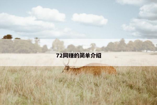 72网赚的简单介绍