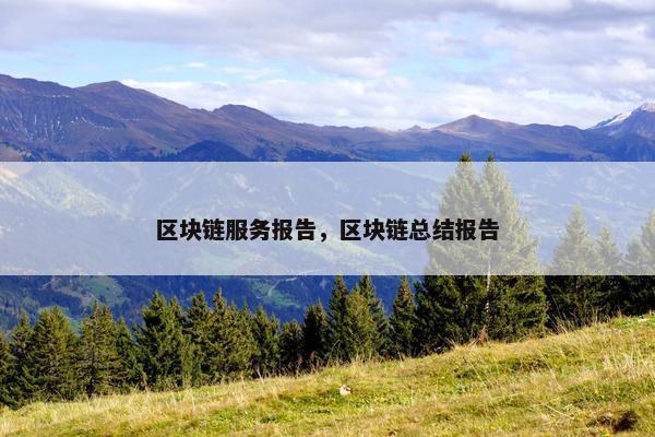 区块链服务报告，区块链总结报告