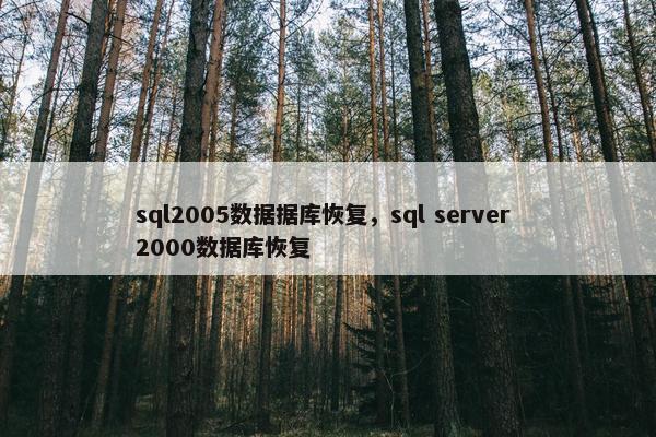 sql2005数据据库恢复，sql server 2000数据库恢复