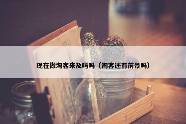 现在做淘客来及吗吗（淘客还有前景吗）
