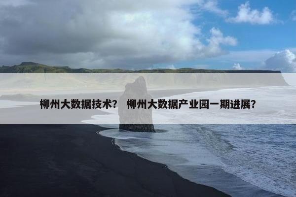 柳州大数据技术？ 柳州大数据产业园一期进展？