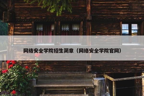 网络安全学院招生简章（网络安全学院官网）