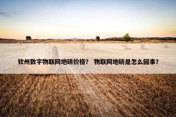 钦州数字物联网地磅价格？ 物联网地磅是怎么回事？