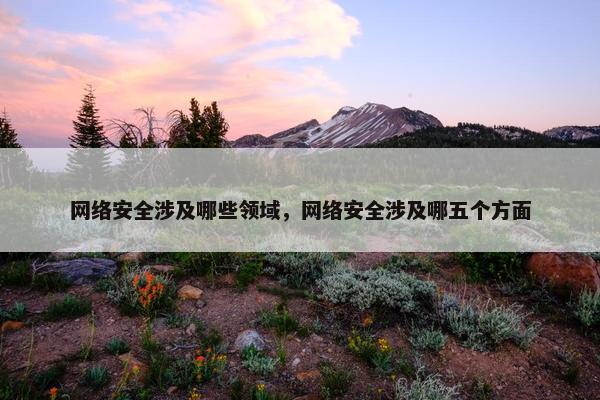网络安全涉及哪些领域，网络安全涉及哪五个方面