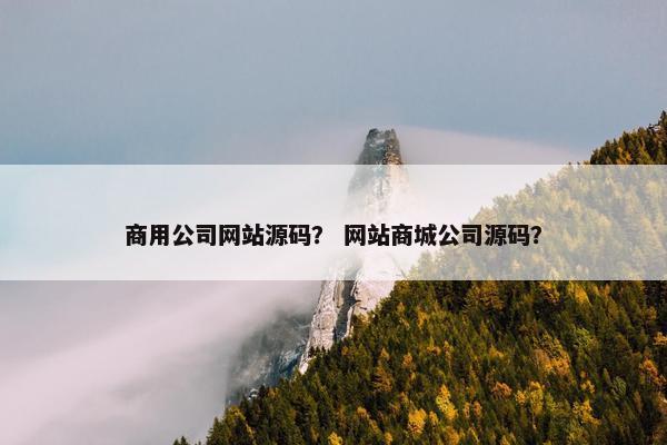 商用公司网站源码？ 网站商城公司源码？