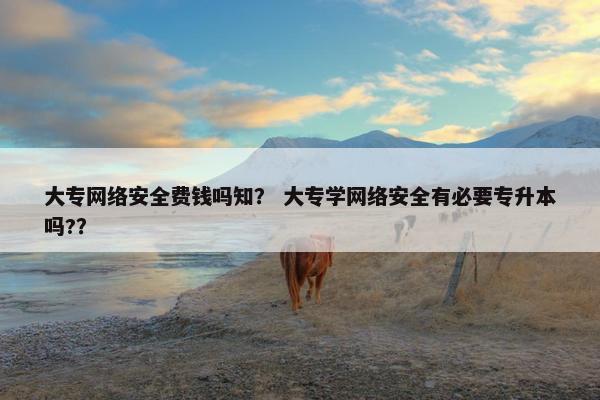 大专网络安全费钱吗知？ 大专学网络安全有必要专升本吗?？