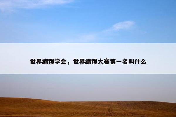 世界编程学会，世界编程大赛第一名叫什么