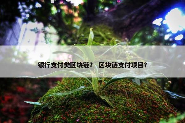 银行支付类区块链？ 区块链支付项目？