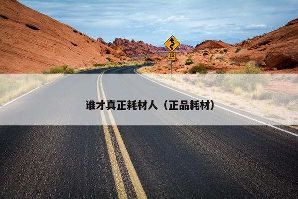 谁才真正耗材人（正品耗材）