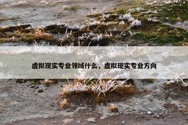虚拟现实专业领域什么，虚拟现实专业方向