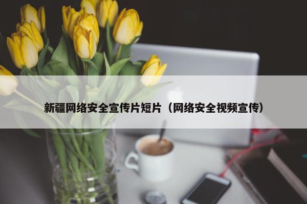 新疆网络安全宣传片短片（网络安全视频宣传）