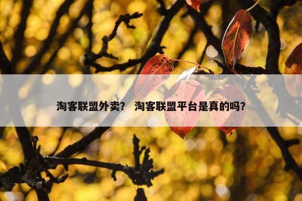 淘客联盟外卖？ 淘客联盟平台是真的吗？