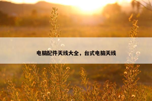 电脑配件天线大全，台式电脑天线