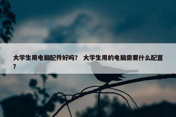 大学生用电脑配件好吗？ 大学生用的电脑需要什么配置？