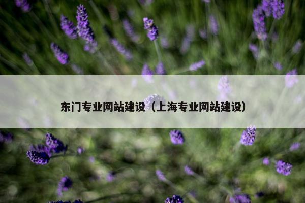 东门专业网站建设（上海专业网站建设）