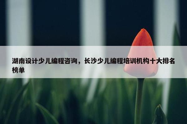 湖南设计少儿编程咨询，长沙少儿编程培训机构十大排名榜单