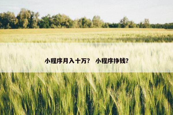 小程序月入十万？ 小程序挣钱？