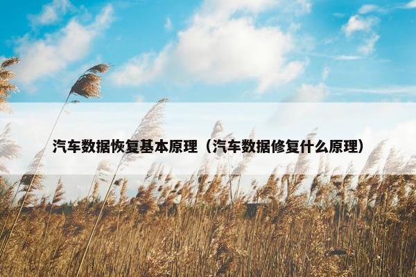 汽车数据恢复基本原理（汽车数据修复什么原理）
