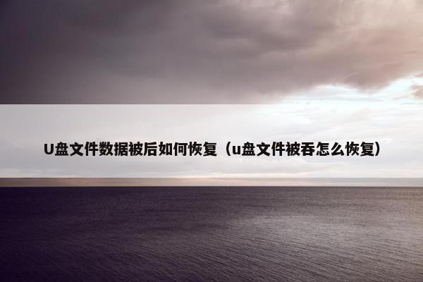 U盘文件数据被后如何恢复（u盘文件被吞怎么恢复）