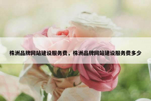 株洲品牌网站建设服务费，株洲品牌网站建设服务费多少