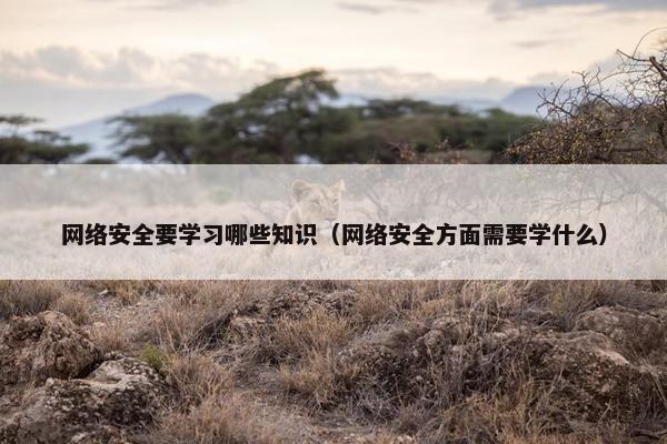 网络安全要学习哪些知识（网络安全方面需要学什么）