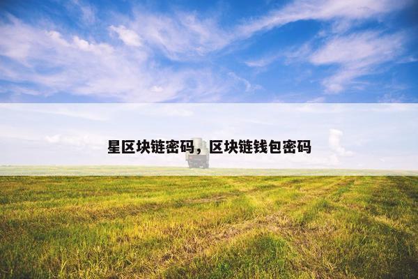 星区块链密码，区块链钱包密码