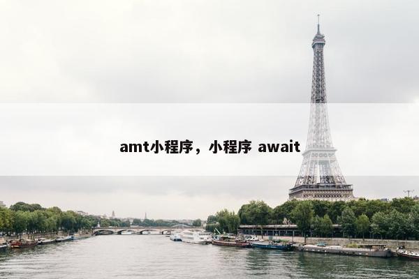 amt小程序，小程序 await