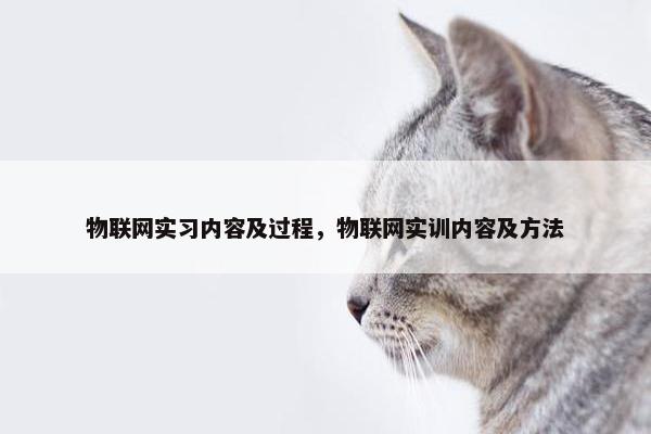 物联网实习内容及过程，物联网实训内容及方法