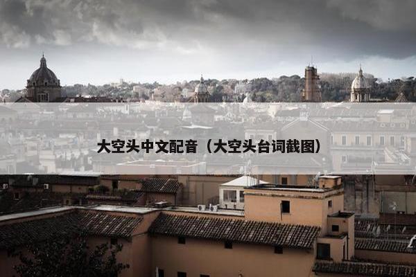 大空头中文配音（大空头台词截图）