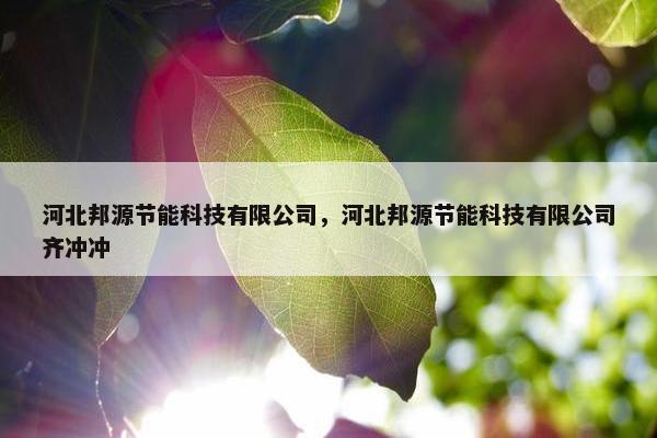 河北邦源节能科技有限公司，河北邦源节能科技有限公司齐冲冲