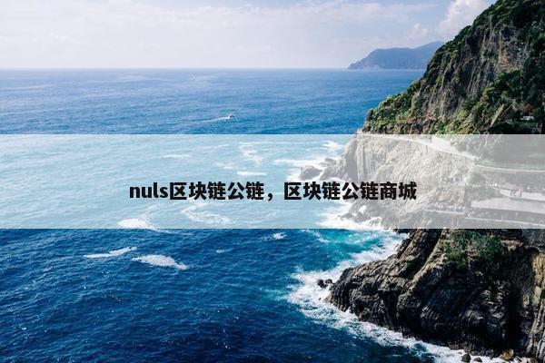 nuls区块链公链，区块链公链商城