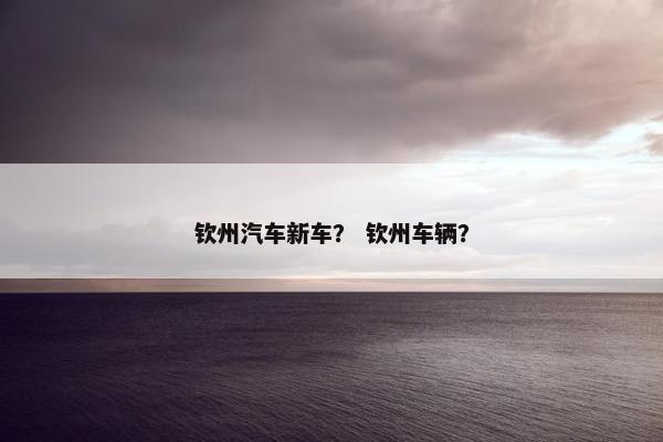 钦州汽车新车？ 钦州车辆？