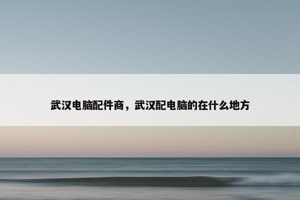 武汉电脑配件商，武汉配电脑的在什么地方