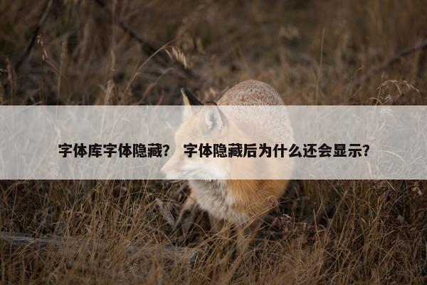 字体库字体隐藏？ 字体隐藏后为什么还会显示？