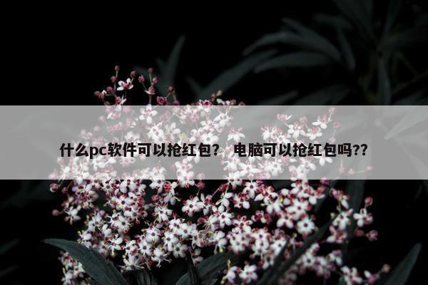 什么pc软件可以抢红包？ 电脑可以抢红包吗?？