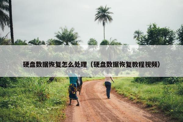 硬盘数据恢复怎么处理（硬盘数据恢复教程视频）