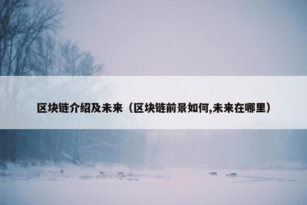 区块链介绍及未来（区块链前景如何,未来在哪里）