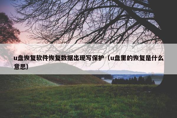 u盘恢复软件恢复数据出现写保护（u盘里的恢复是什么意思）