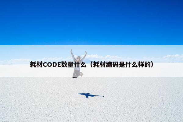 耗材CODE数量什么（耗材编码是什么样的）