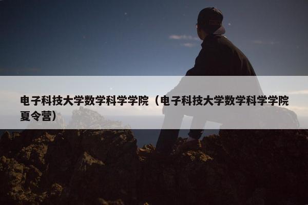 电子科技大学数学科学学院（电子科技大学数学科学学院夏令营）
