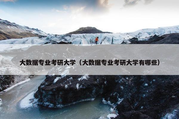 大数据专业考研大学（大数据专业考研大学有哪些）