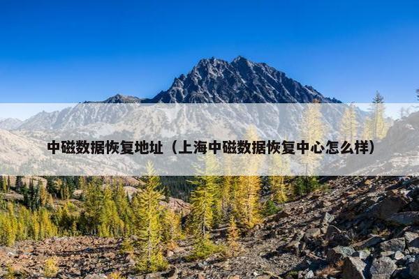 中磁数据恢复地址（上海中磁数据恢复中心怎么样）