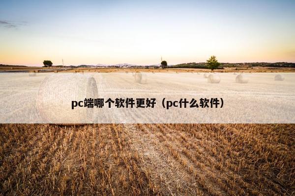 pc端哪个软件更好（pc什么软件）