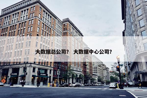 大数据总公司？ 大数据中心公司？