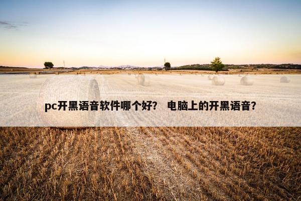 pc开黑语音软件哪个好？ 电脑上的开黑语音？