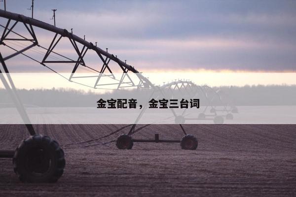 金宝配音，金宝三台词